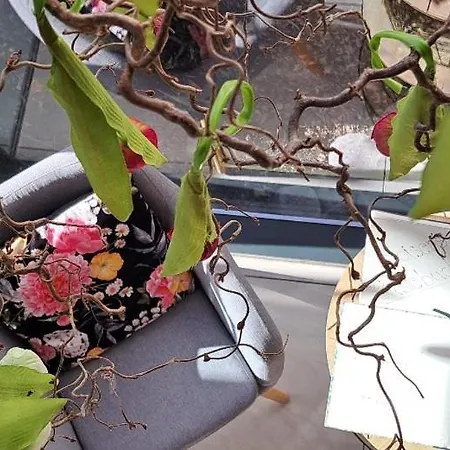 Stoiser -parkplatz Inbegriffen! فندق